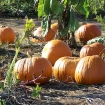 2007-10-13 (016).jpg